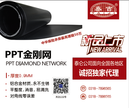 PPT Diamond Net