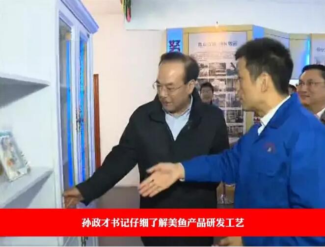 门窗展 新美鱼