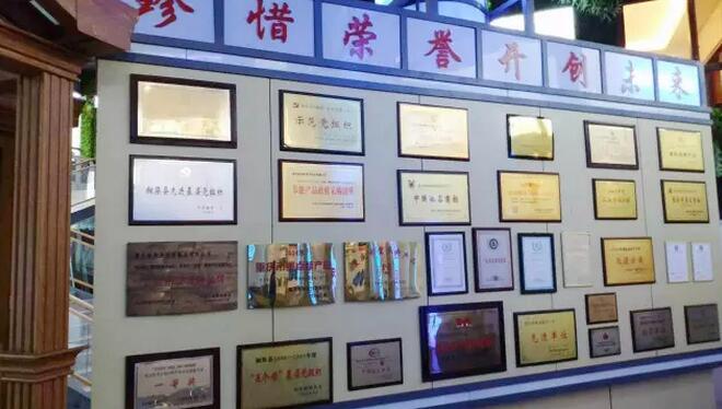 门窗展 新美鱼