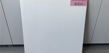 建筑外立面新材料，新明珠创新研发反射隔热陶瓷砖亮相阿尔法建筑论坛