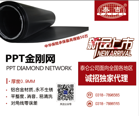 PPT金刚网