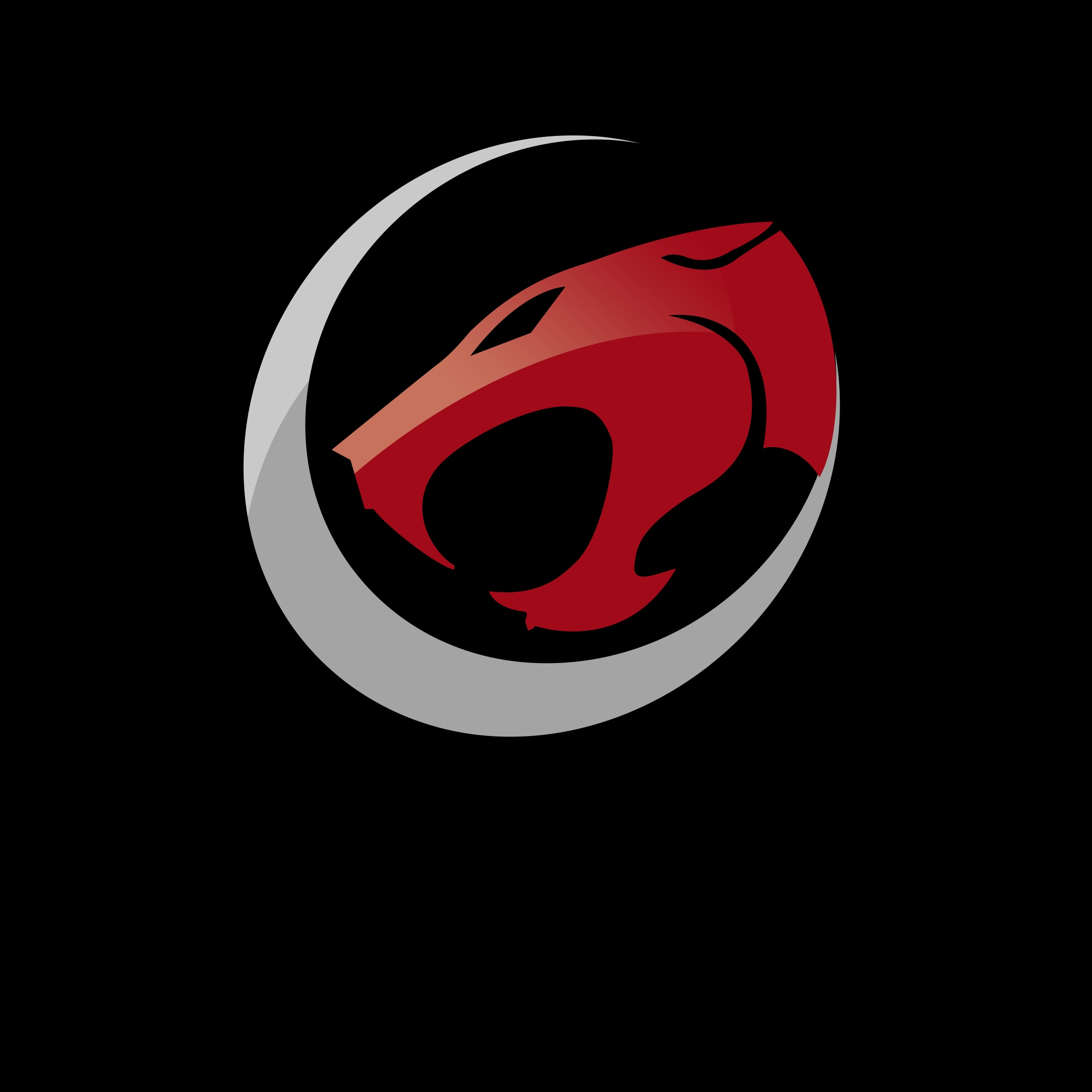 贵州啸野科技有限公司