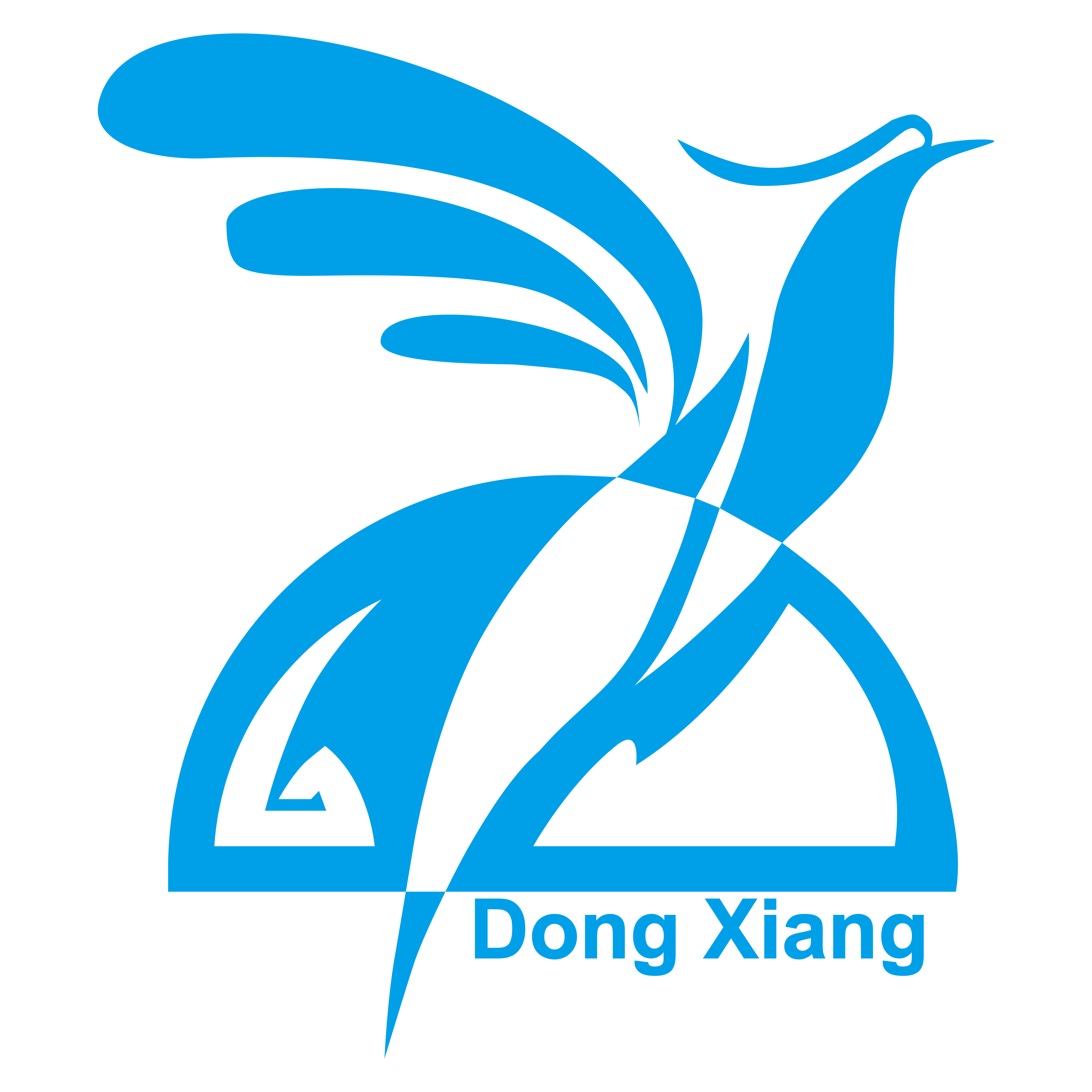 石家庄东翔化工有限公司