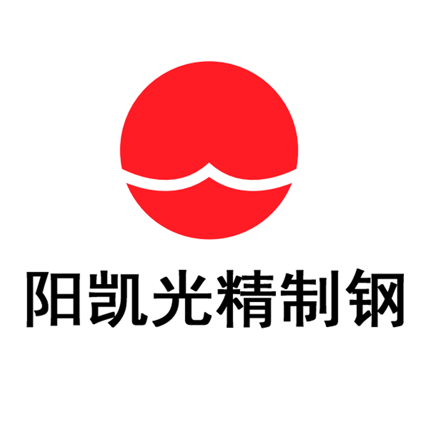 常州市阳凯光精制钢结构有限公司
