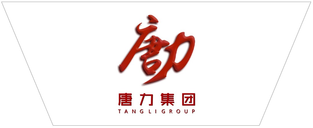湖南唐力新材料科技有限公司