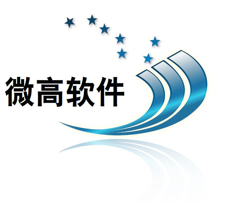 佛山市南海区微高软件有限公司